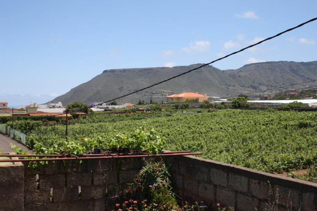 Finca El Vergel Rural Tegueste Номер фото