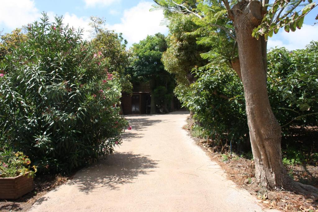 Finca El Vergel Rural Tegueste Екстер'єр фото