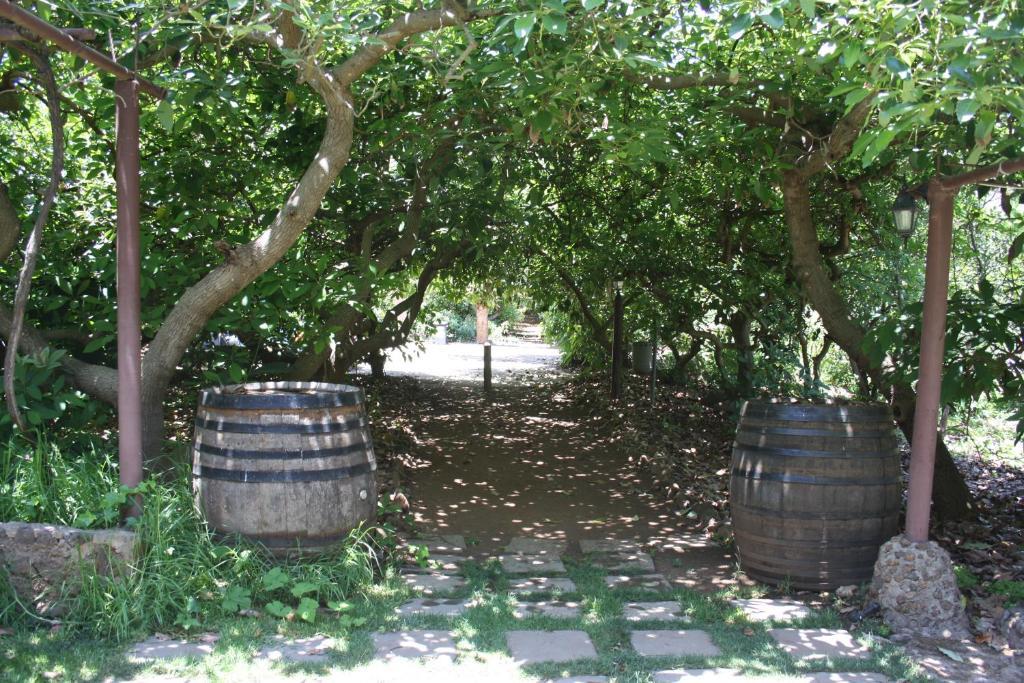 Finca El Vergel Rural Tegueste Екстер'єр фото