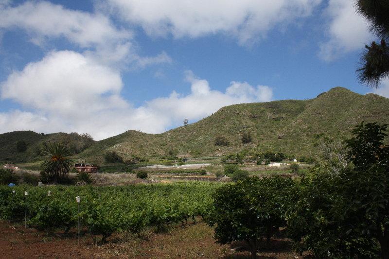 Finca El Vergel Rural Tegueste Екстер'єр фото