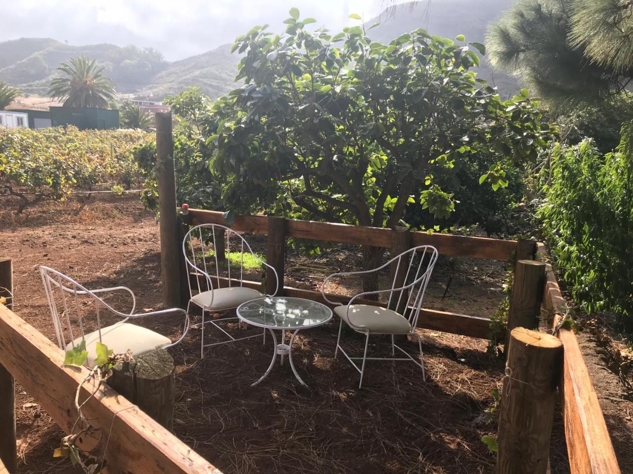 Finca El Vergel Rural Tegueste Екстер'єр фото