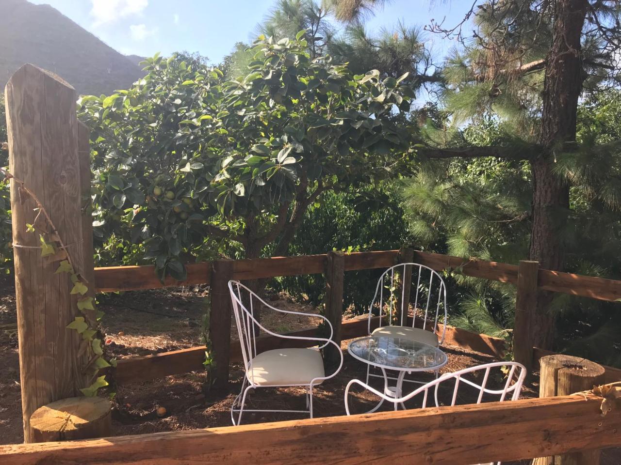 Finca El Vergel Rural Tegueste Екстер'єр фото