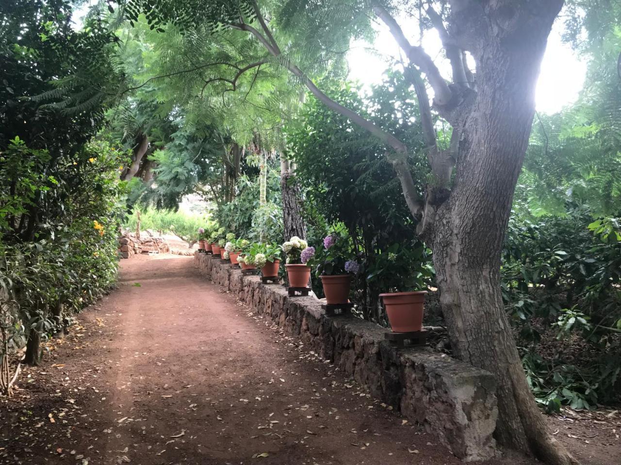Finca El Vergel Rural Tegueste Екстер'єр фото